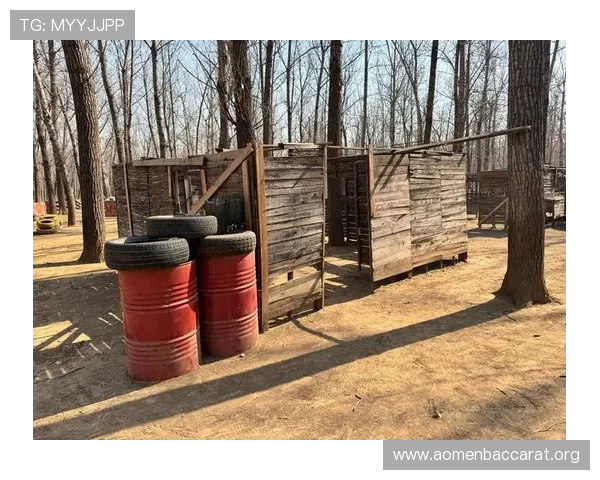 真人BG欢迎你体验最真实的互动感受,开启属于你的专属游戏冒险之旅 真人BG欢迎你体验最真实的互动感受,开启属于你的专属游戏冒险之旅