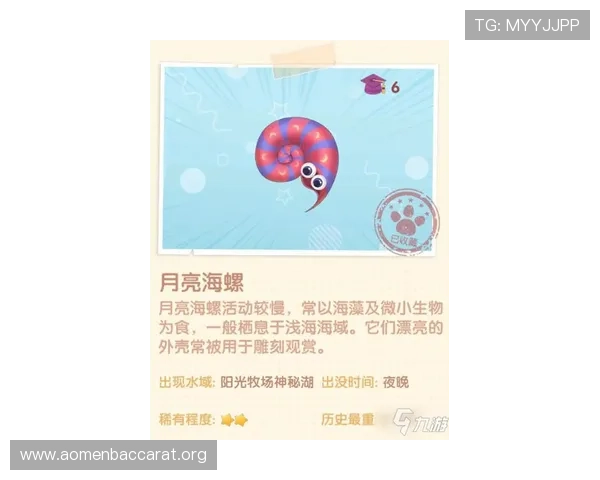 澳门幸运6庄闲玩法详解，掌握投注技巧提升赢面